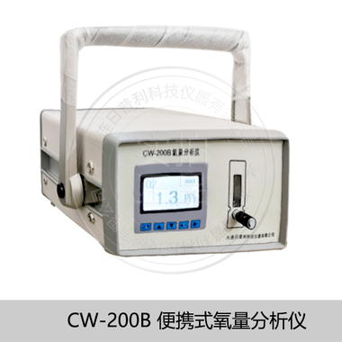 在线/便携式微量氧含量分析仪CWZ-260C-大连日普利