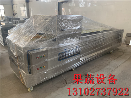 自动去核龙眼全自动去核机厂家