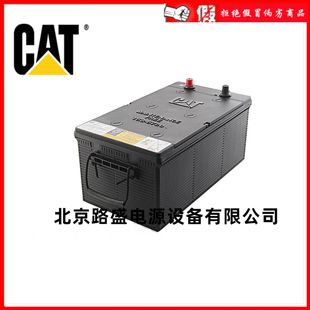 卡特CAT蓄电池250-0480 12V100AH卡特比勒挖掘机柴油发电机用电池