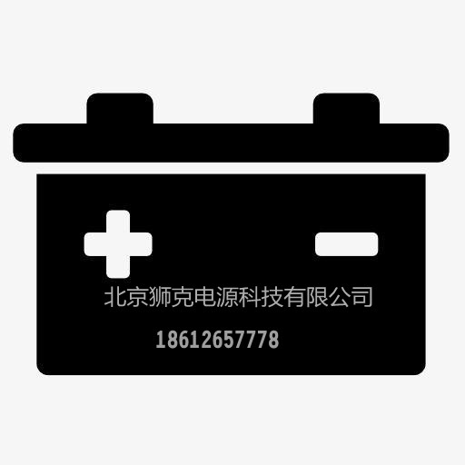 进口丹麦FGS蓄电池 洗地机 升降机专用牵引电池