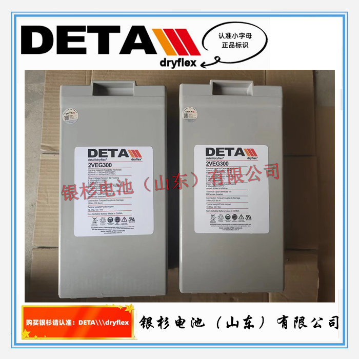 德国银杉蓄电池2VEG500电力机房UPS直流屏电源用2V-500AH储能电池