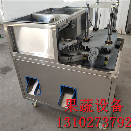 坚核水果杨梅全自动去核机厂家报价