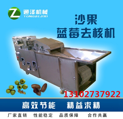 去核孔径小牛油果去核机价格