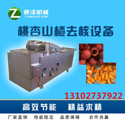长期使用全自动龙眼去核机不会弯针