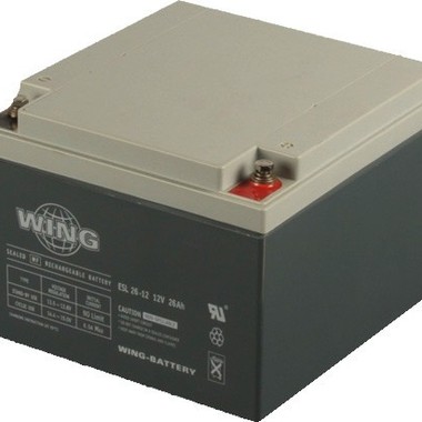 德国WING蓄电池UPS2500 12V90AH 直流屏UPS配电柜 太阳能储电等用