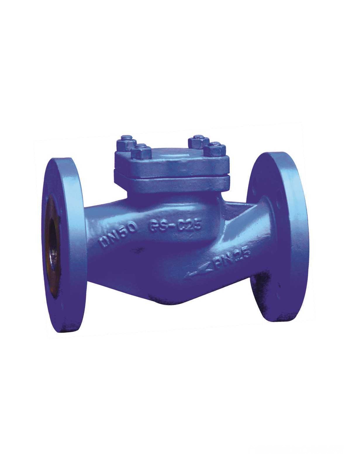 进口升降式止回阀