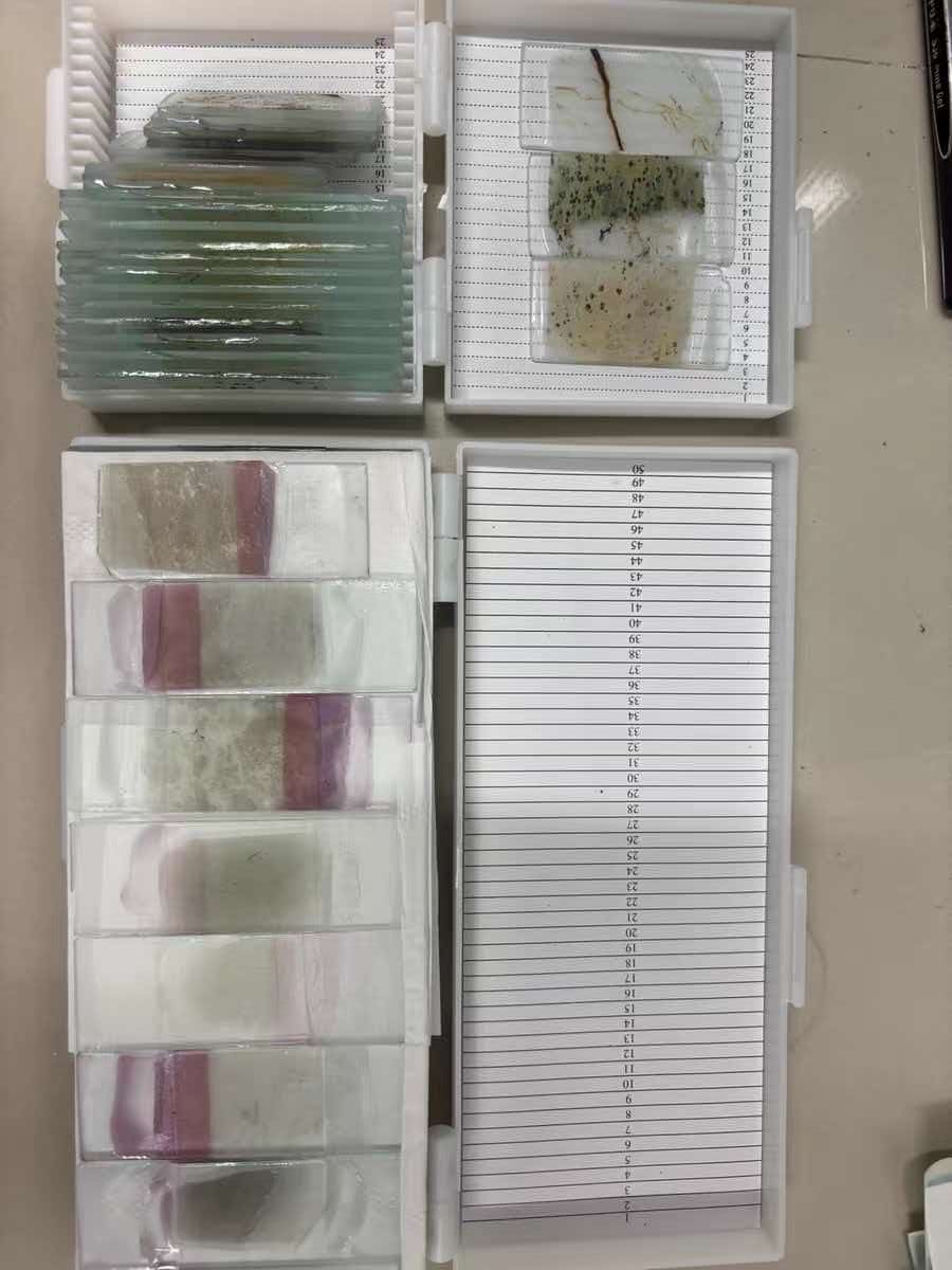 实验室专业岩石化石薄片制作、XRF/LIBS光谱仪测试服务