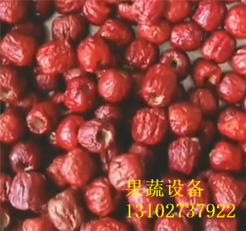 使用余甘子全自动去核器使核肉分离使用说明书
