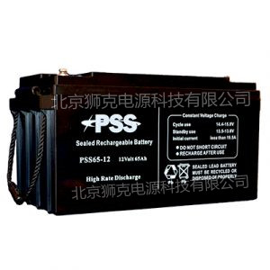  南非PSS蓄电池  PSS100-12机房设备专用蓄电池
