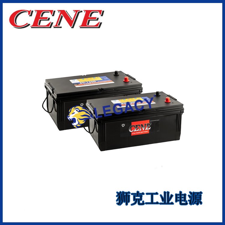 CENE蓄电池MF44B19L MF44B19LDF MF41 MF43扫地机洗车电源