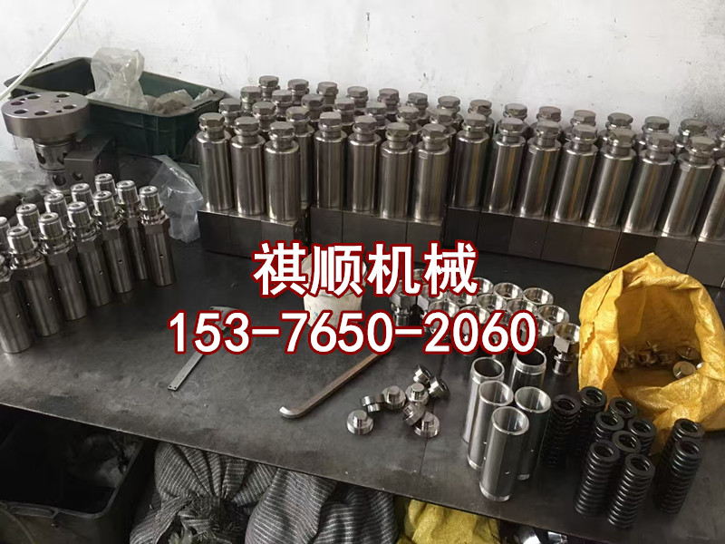 BPW110.0101-5喷雾泵柱塞密封 交替阀组件