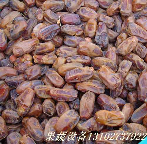 冲核牛油果去核机设备全自动设备节能省时