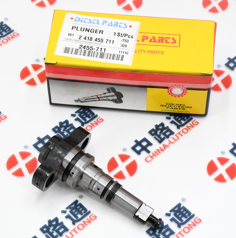 发动机吊篮式柱塞2 418 455 711开窗式柱塞偶件厂家