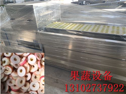 一台龙眼全自动去核机每小时产量500斤