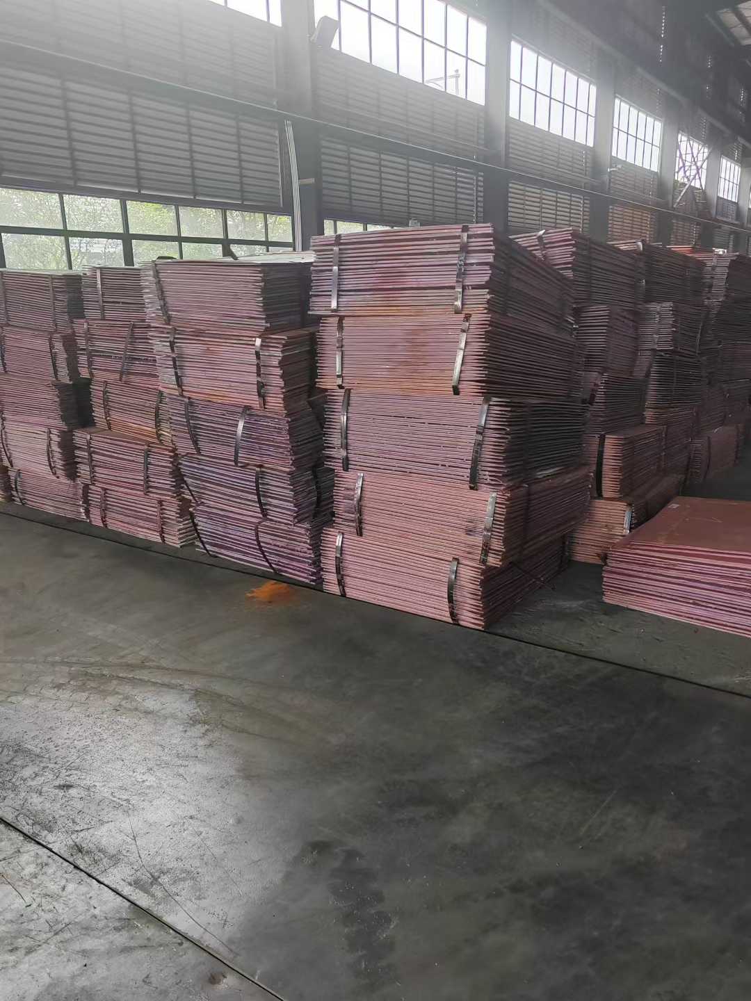 8mm低氧铜杆（T1）