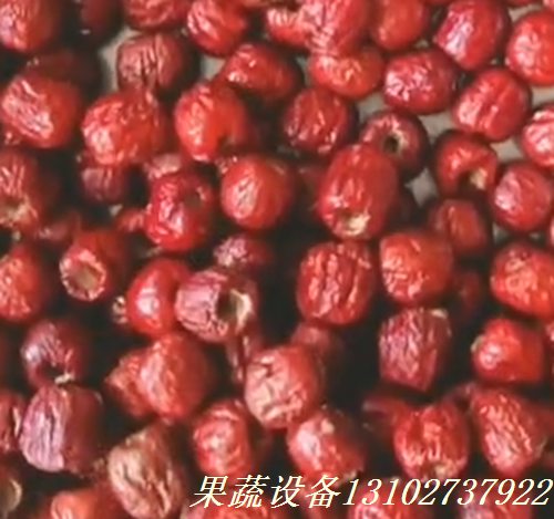 湖北黄石供应脱核机牛油果去核机设备
