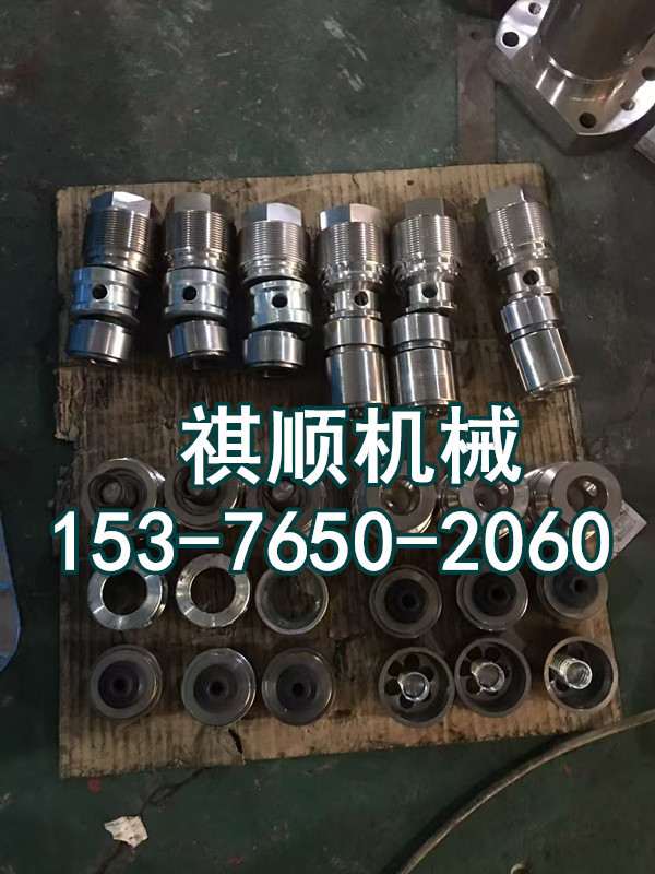 GRB315/31.5泵头组件 QZX200小齿轮轴 螺堵