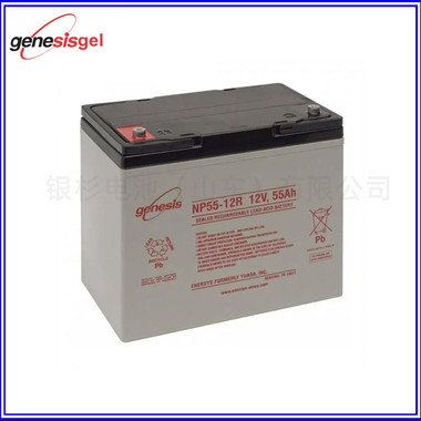 美国GENESIS蓄电池 NP12-12电池12V12AH 原装进口 阀控式铅酸电池