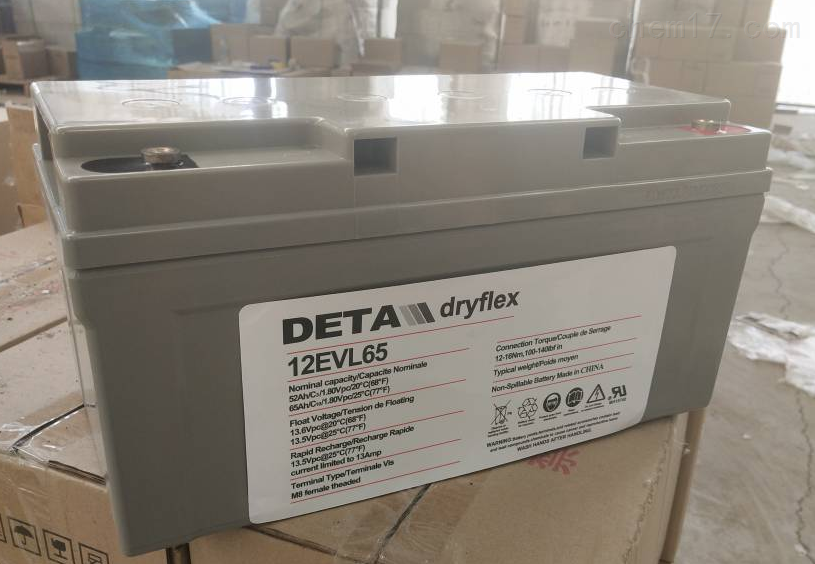 银杉 蓄电池 2VEG200 银杉 DETA 电池 水力机组