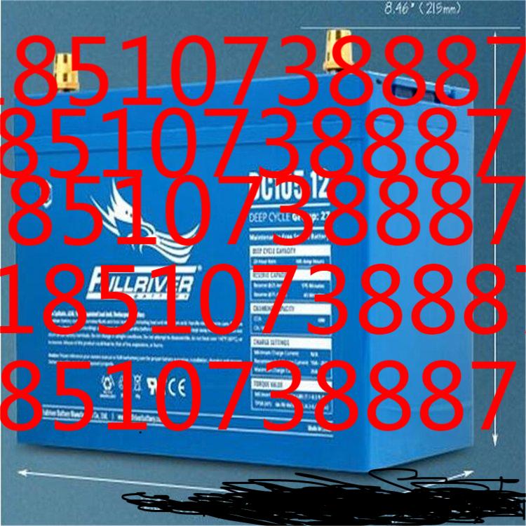  意大利FIAMM蓄电池FG21703 重庆销售点系列