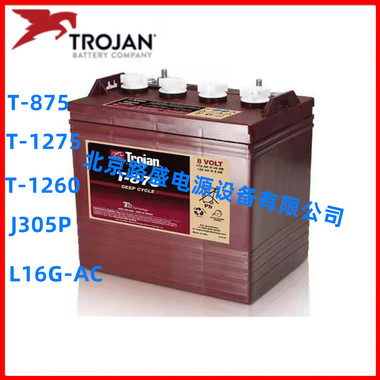 Trojan邱健蓄电池J305G-AC洗地机升降平台专用