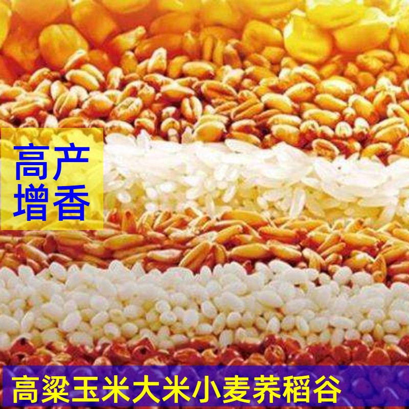 酒饼、小麦酒酒曲