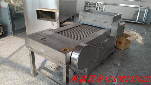 坚核水果杨梅全自动去核机厂家报价