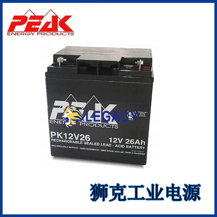 法国PEAK蓄电池PK12V18 12V18AH精密仪器不间断电源