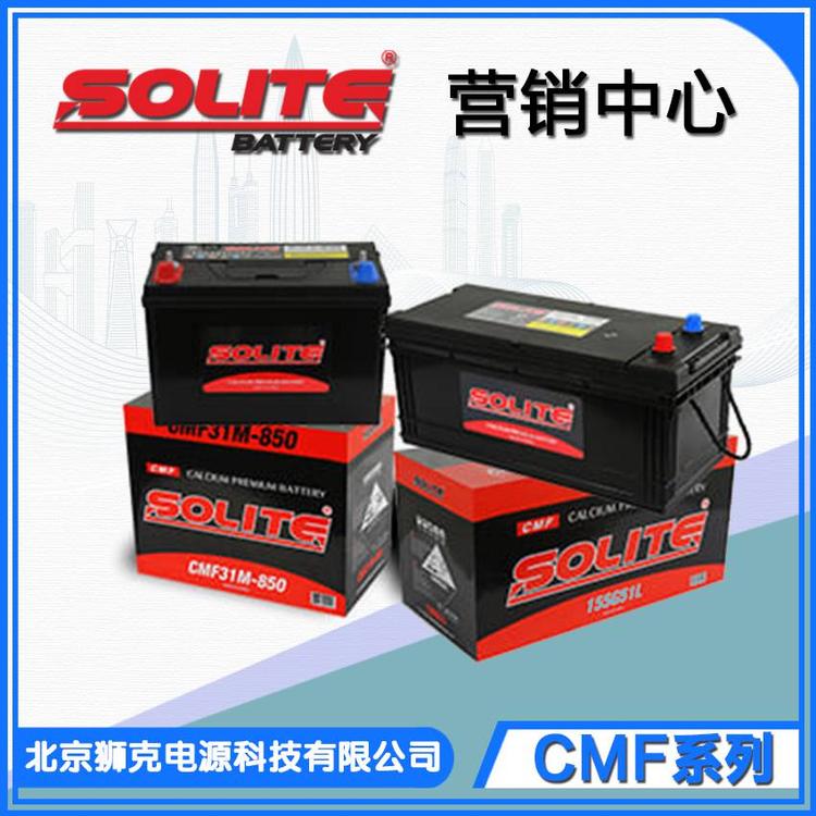   UPS电源奥地利版纳蓄电池富液式EPS蓄电池  UPS电源