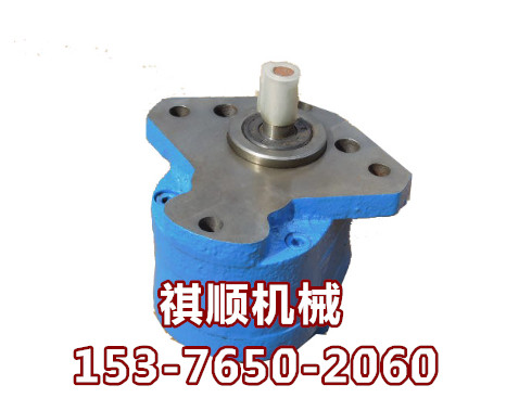 矿用乳化液泵用齿轮泵 CB-25B油泵