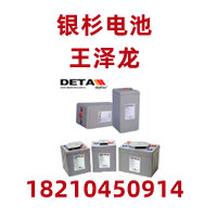 银杉电池公司2VEG600/德国DETA授权蓄电池