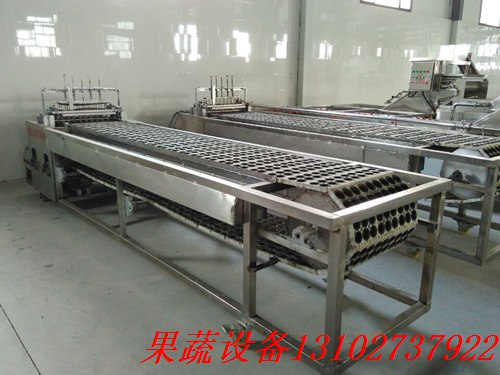 龙眼全自动去核机厂家冲核果肉保留多