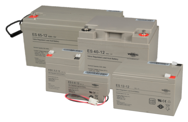 WING蓄电池BTX12-200LS德国全系列产品现货