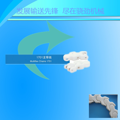 1701龙骨链  龙骨链