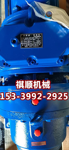 MB110YB11XW8给煤机减速机 驱动装置调速器