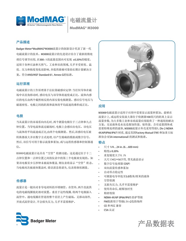 美国Badger Meter电磁流量计-M3000