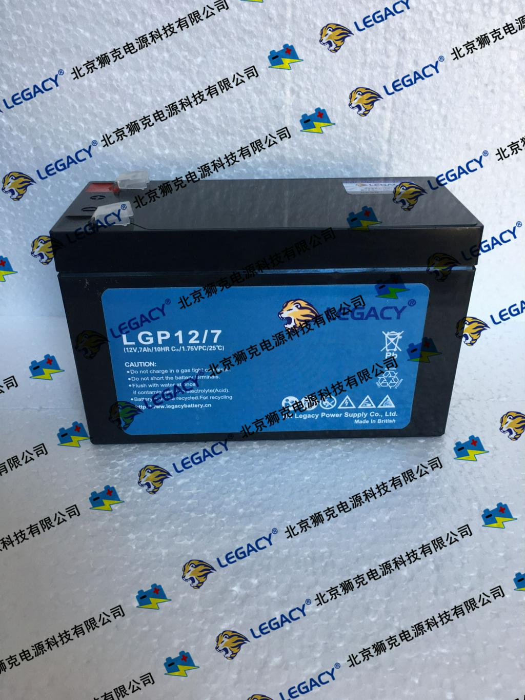 狮克LGP12/65R蓄电池12v65ah现货