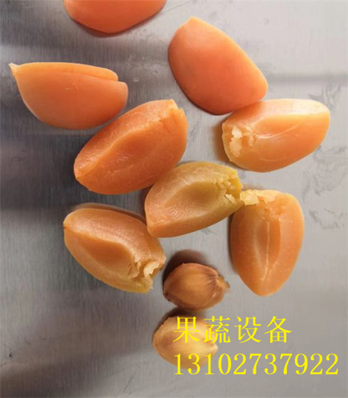 使用余甘子全自动去核器使核肉分离使用说明书