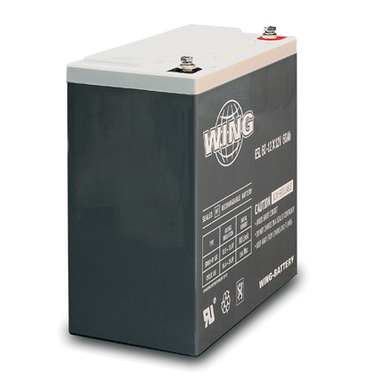 德国WING蓄电池BTX12-120LS 12V120AHUPS不间断电源 电源配套设备