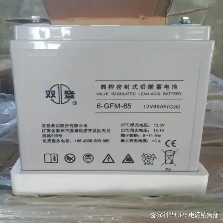 双登蓄电池GFM-100技术参数