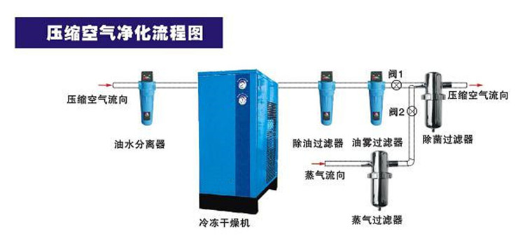 氩气吸附式干燥机 特殊气体脱水装置 特殊工艺气体干燥机