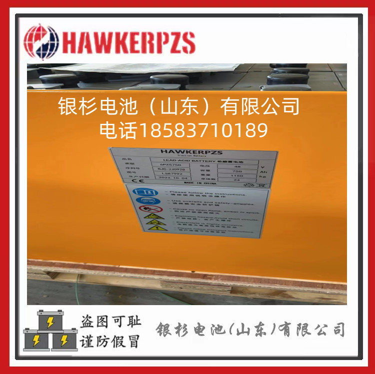 48V/600Ah电池组适配永恒力EFG216电瓶叉车5PzS600铅酸电池组