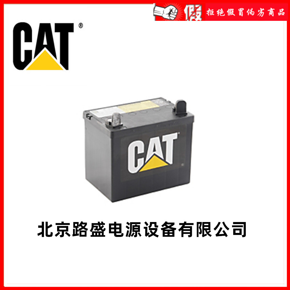 卡特CAT比勒蓄电池101-4000 12V190AH深循环 柴油发电机备用电源