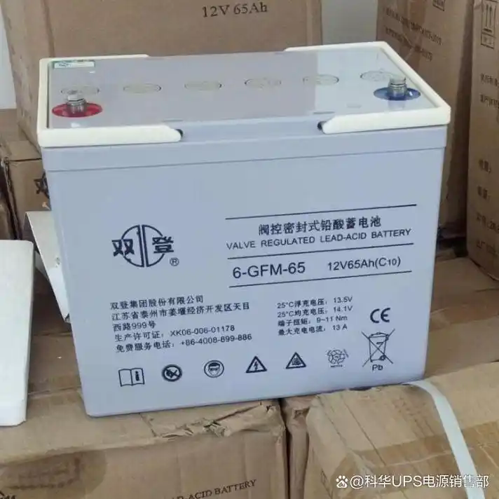 双登蓄电池GFM-100技术参数