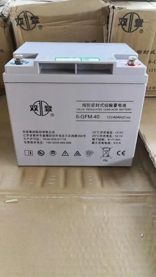 双登蓄电池GFM-100技术参数