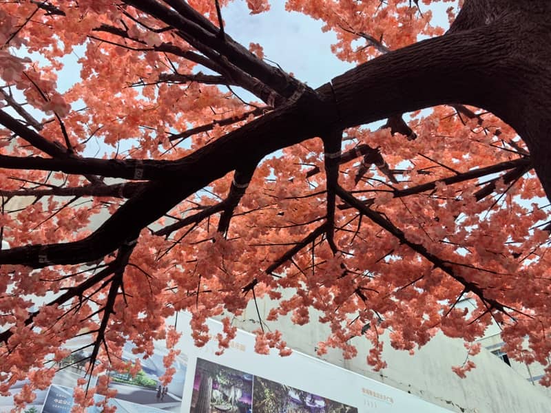 圣诞树及装饰产品检验