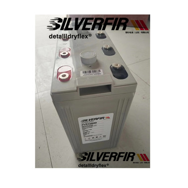 silverfir德国银杉DETA蓄电池2VEG100热电厂 供站