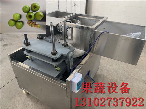 一台龙眼全自动去核机每小时产量500斤
