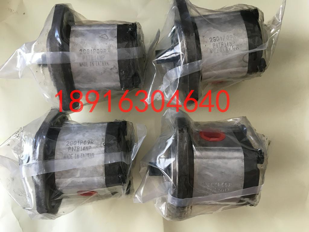 台湾康百世P101RP01GT齿轮泵