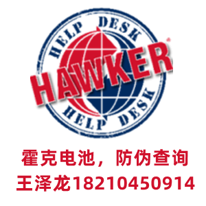 HAWKER叉车电池VGD565/48V565AH力至优原车电池